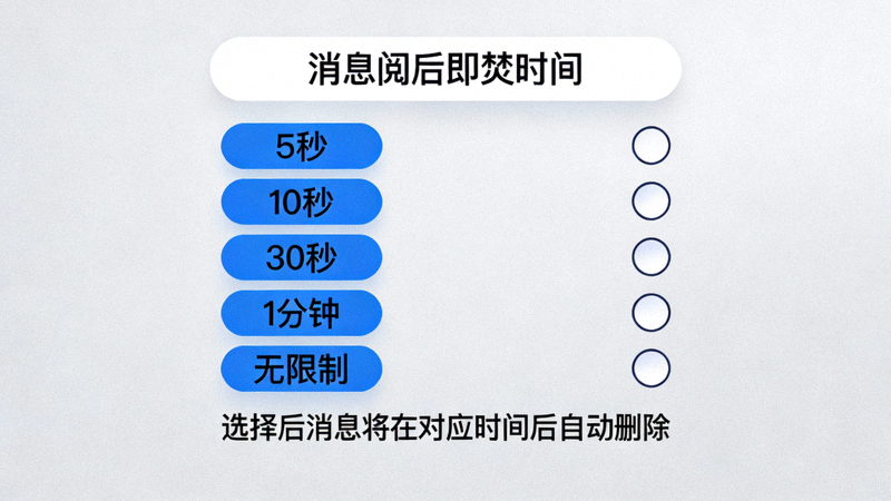 在秘密聊天中设置消息阅后即焚时间选项的菜单界面