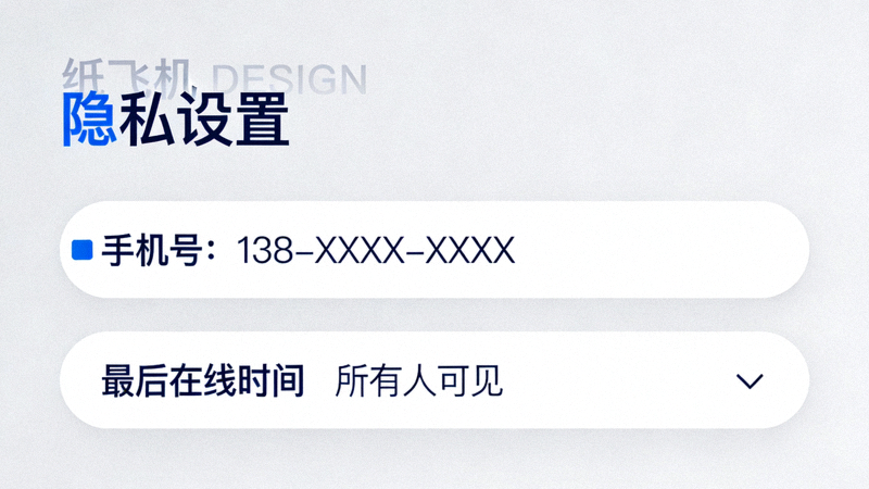 纸飞机中文版隐私设置主页面，展示手机号、最后在线时间等权限选项